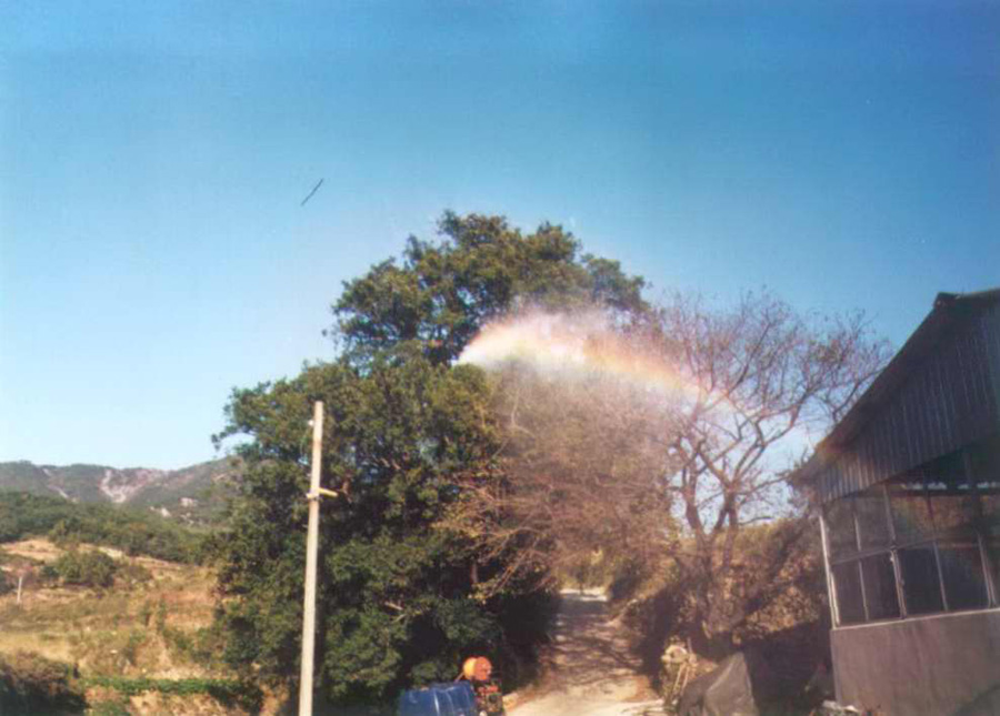 죽전비자나무 (경남200호)보호관리
