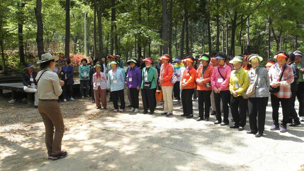 숲속에서 찾는 건강‘2014 남해군 힐링가족캠프’열어